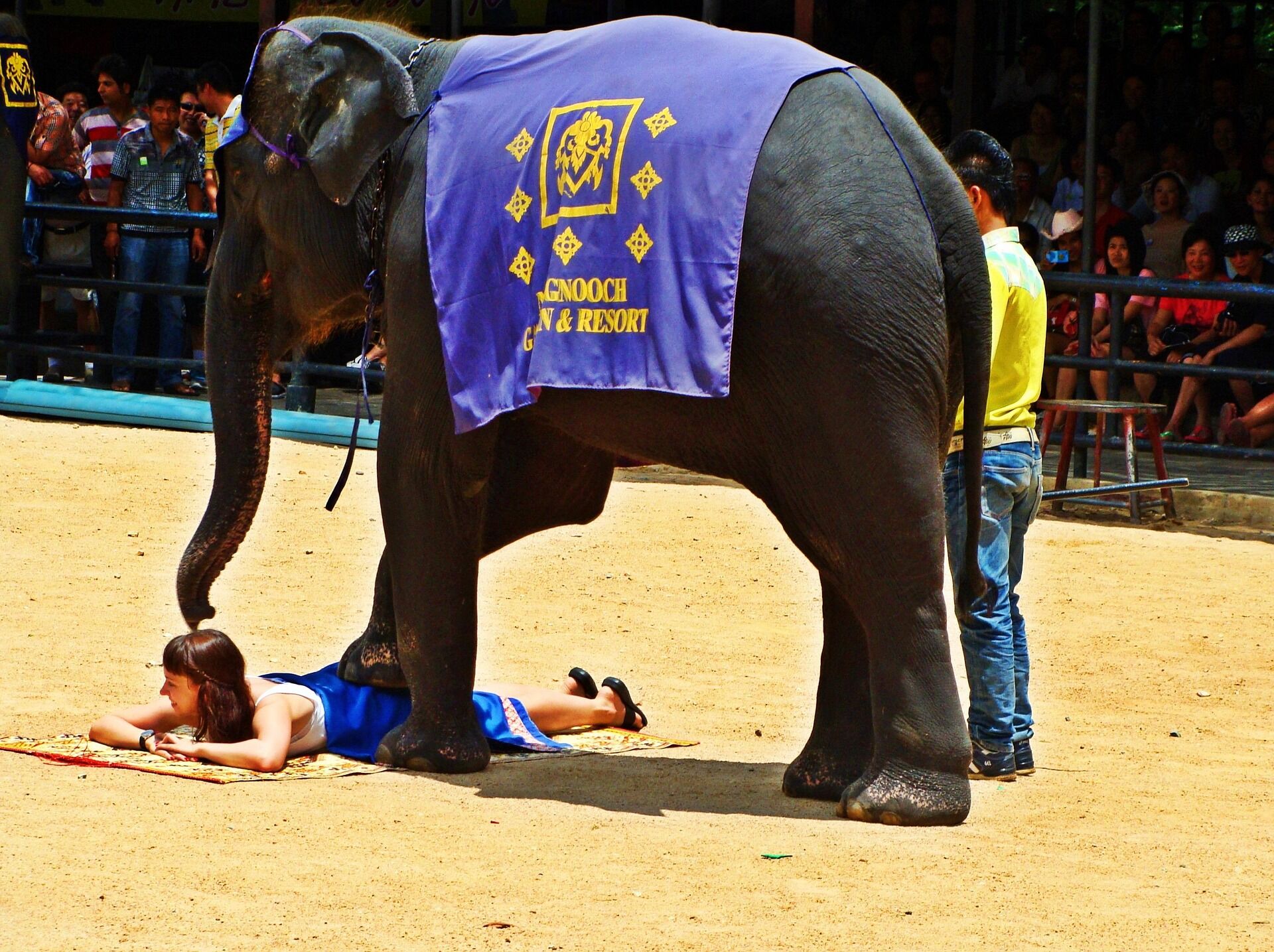 Experience Pattaya’s heritage with guided tours